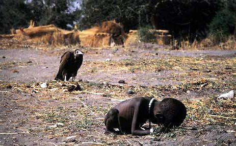 等着吃小女孩的秃鹰 080214