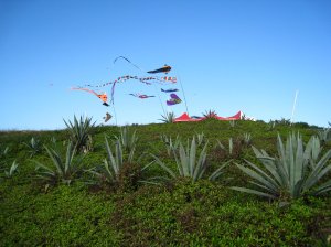 220215 lin yun yun resize