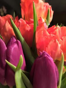 090315 Lin Ming Hui 8