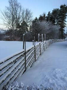 120315 Lin Ming Hui 2