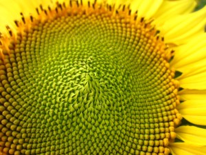 260315 Lin Yun Yun 45