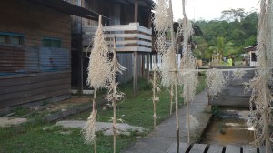 270315 Liao Tian Cai