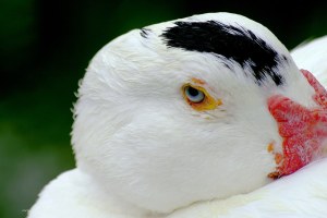 130415 Li Jia Yong 2