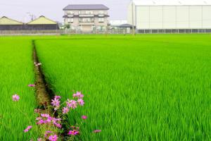 250415 Li Jia Yong 6