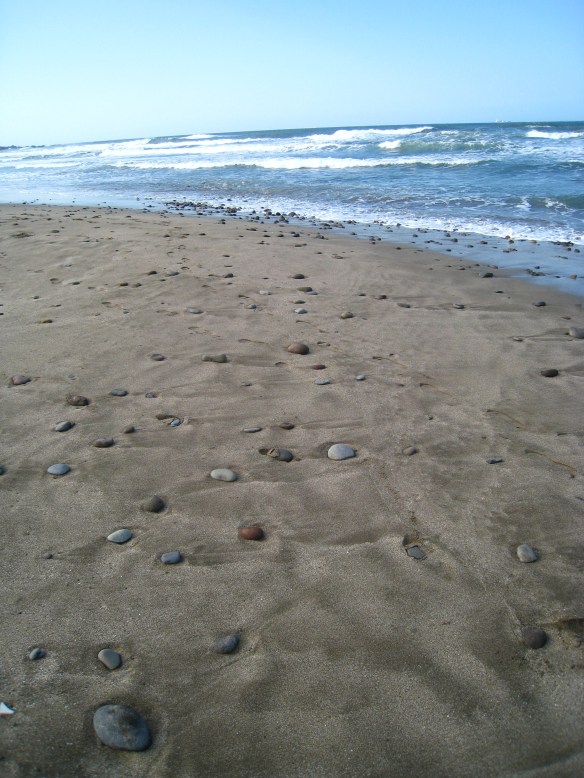 300415 Lin Yun Yun 48