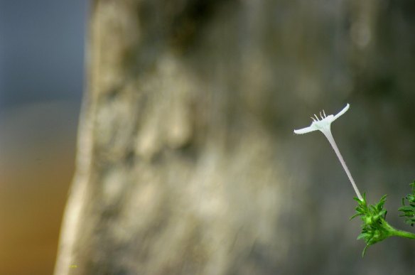 100515 Li Jia Yong 17