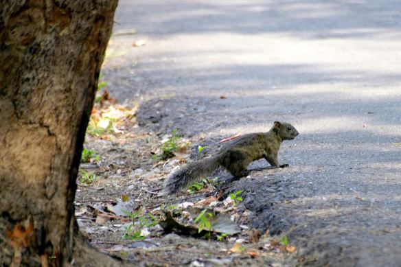 190515 Li Jia Yong 14