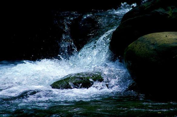 230515 Li Jia Yong 13