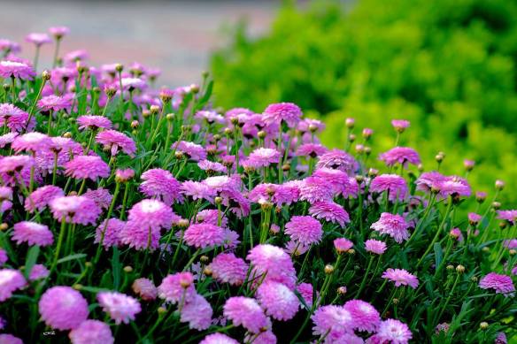 050615 Li Jia Yong 3