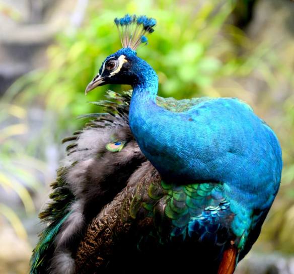 170615 Key Liu Poh Kee 1