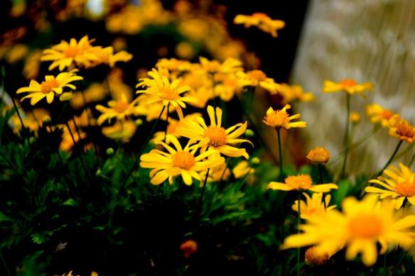 290615 Key Liu Poh Key 1