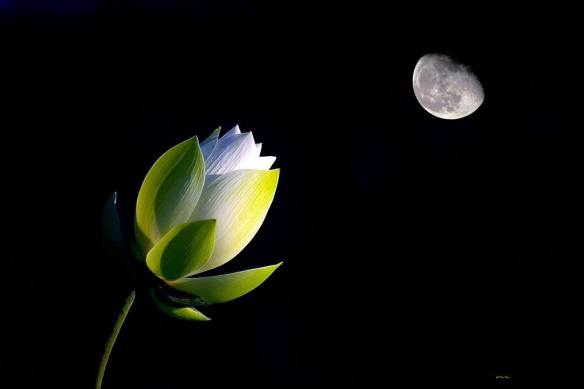 040715 Li Jia Yong 34