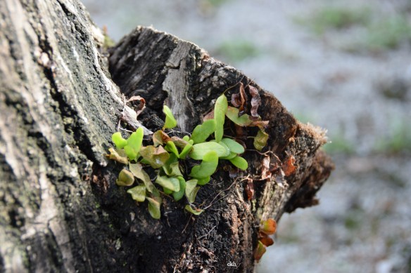 220715 ckh 14_meitu_1