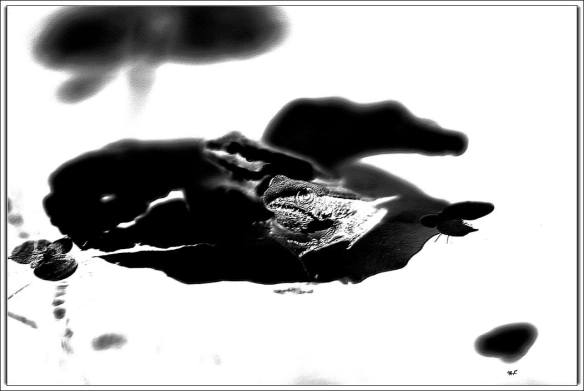 300715 Li Jia Yong 37