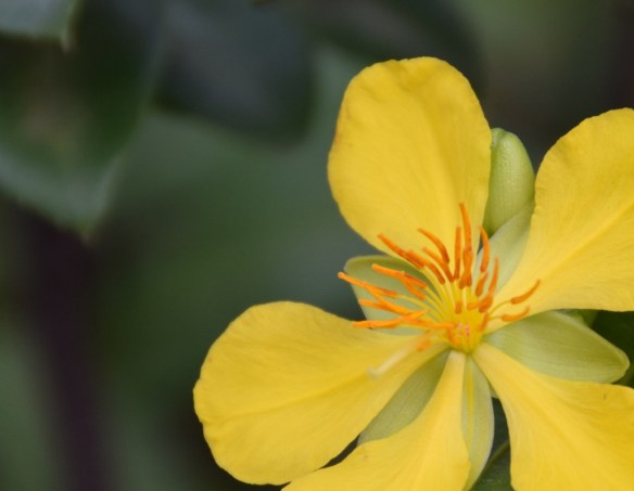 090815 ckh 26 (1024x796)