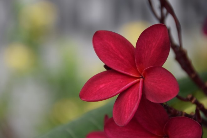 130815 ckh 27 (1024x683)