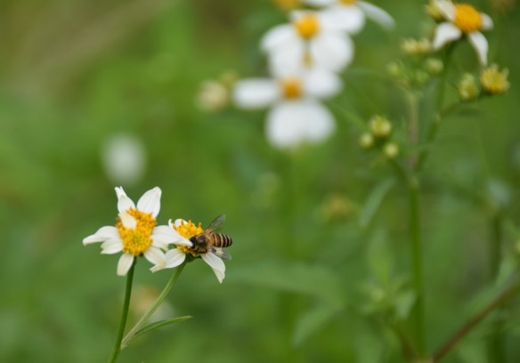 170815 ckh 30 (1024x716)