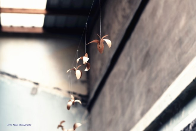 190815 Iris Puah (1024x683)