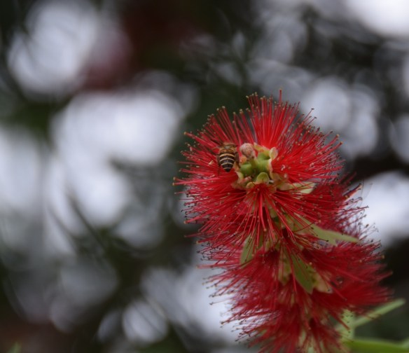 200815 ckh 26 (1024x884)