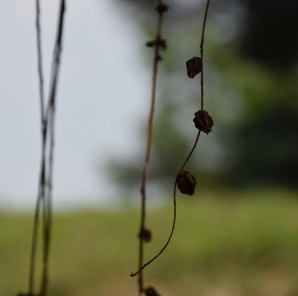 240815 ckh 35 (1024x1020)