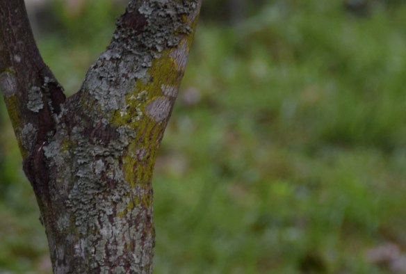 250815 ckh 25 (1024x691)