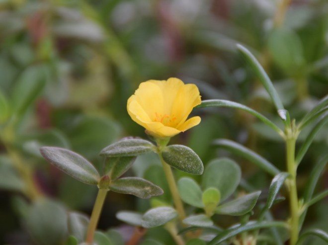 310815B ckh 11 (1024x765)