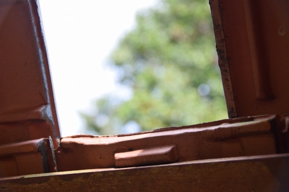 030915 ckh 39 (1024x683)