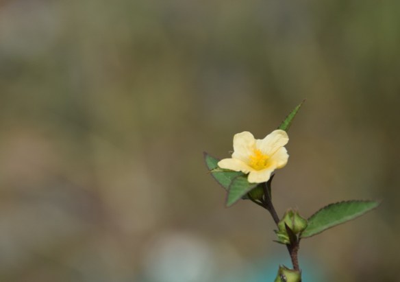 100915 ckh 49 (1024x722)