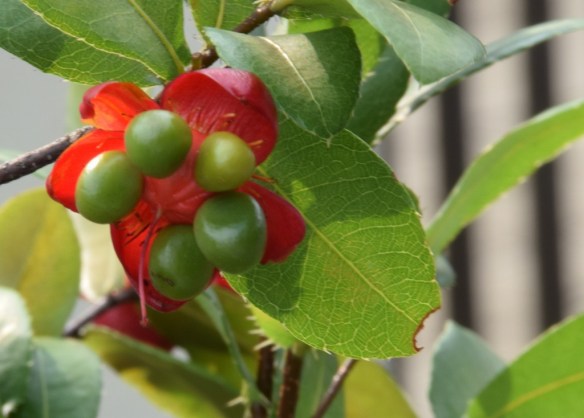 210915 ckh 33 (1024x734)