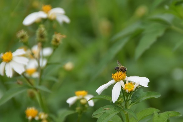 240915 ckh 32 (1024x684)