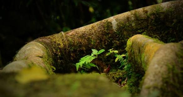 260915 Key Liu Poh Key 1