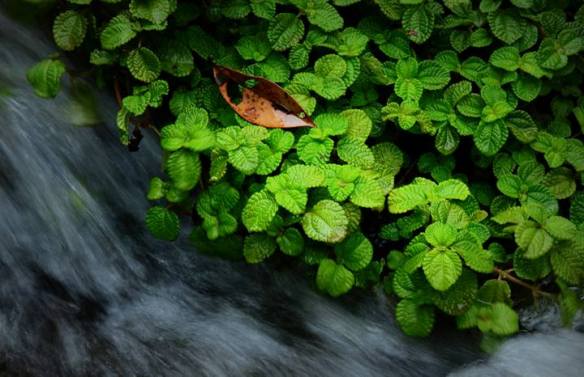 300915 Key Liu Poh Key 2