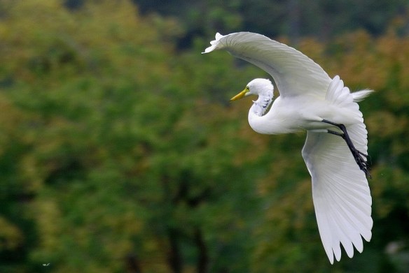 081015 Li Jia Yong 41