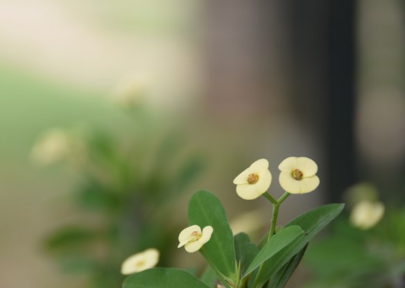 201015 ckh 49 (1024x728)