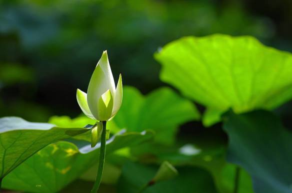 221015 Li Jia Yong 29