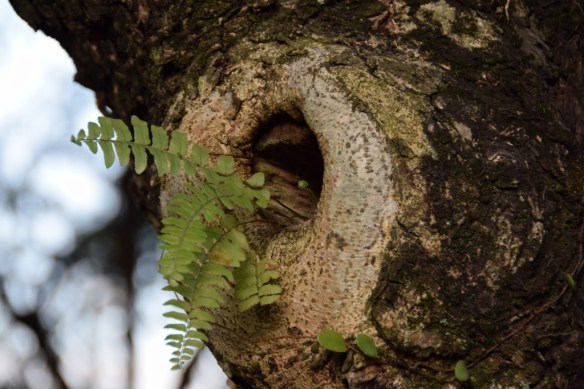 251015 ckh 1 (1024x683)