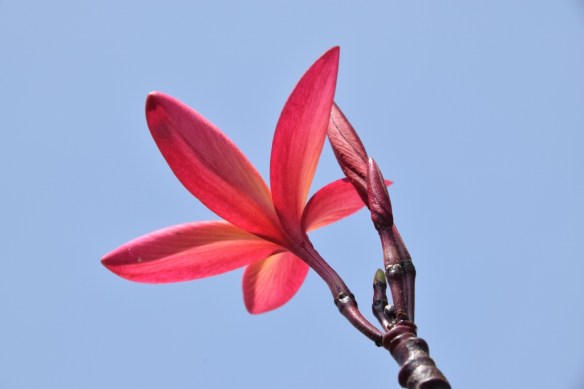 141115 ckh 57 (1024x683)