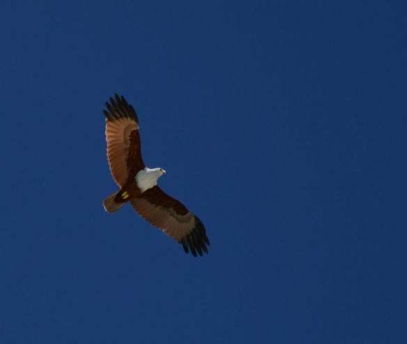 161115 Key Liu Poh Key 7