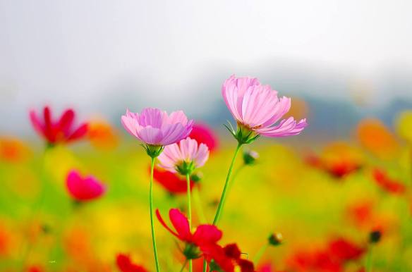 221115 Li Jia Yong 48