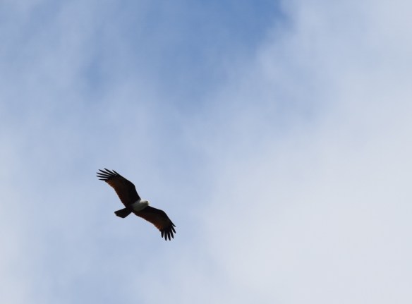 231115 ckh 55 (1024x757)