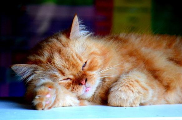 271115 Key Liu Poh Key 4