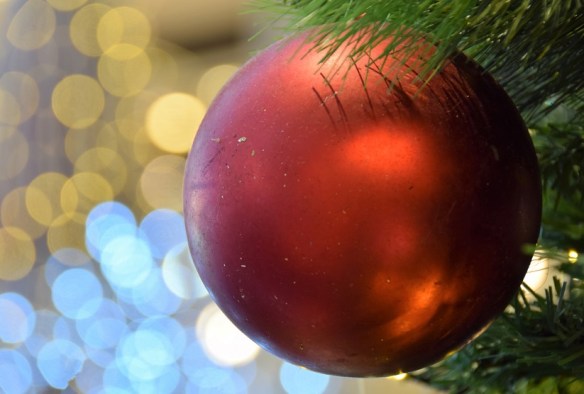 251215 ckh 91 resized cropped