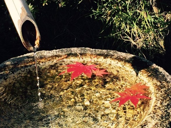 281215 Lin Yun Yun 56