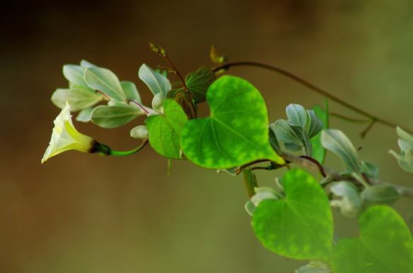 020316 Li Jia Yong 49