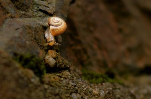 220216 Key Liu Poh Key 4