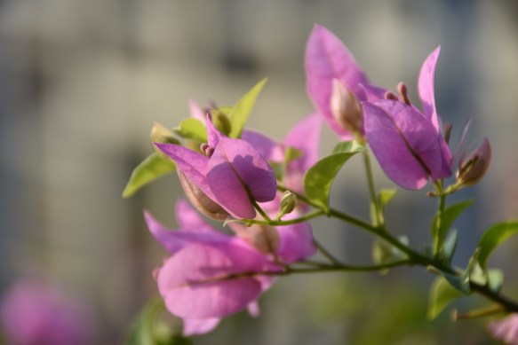 230216 ckh 94 DSC_1083