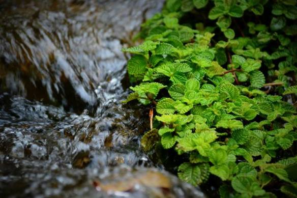 250216 Key Liu Poh Key 3