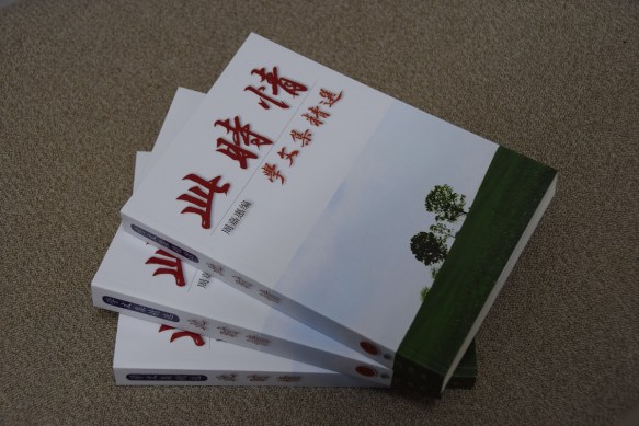 260216 ckh 97 DSC_1164