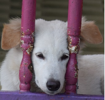 290216B ckh 98 DSC_1134