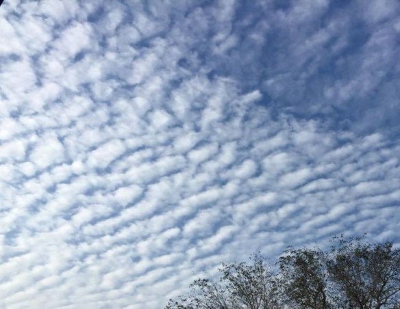 090316 Lin Yun Yun 56